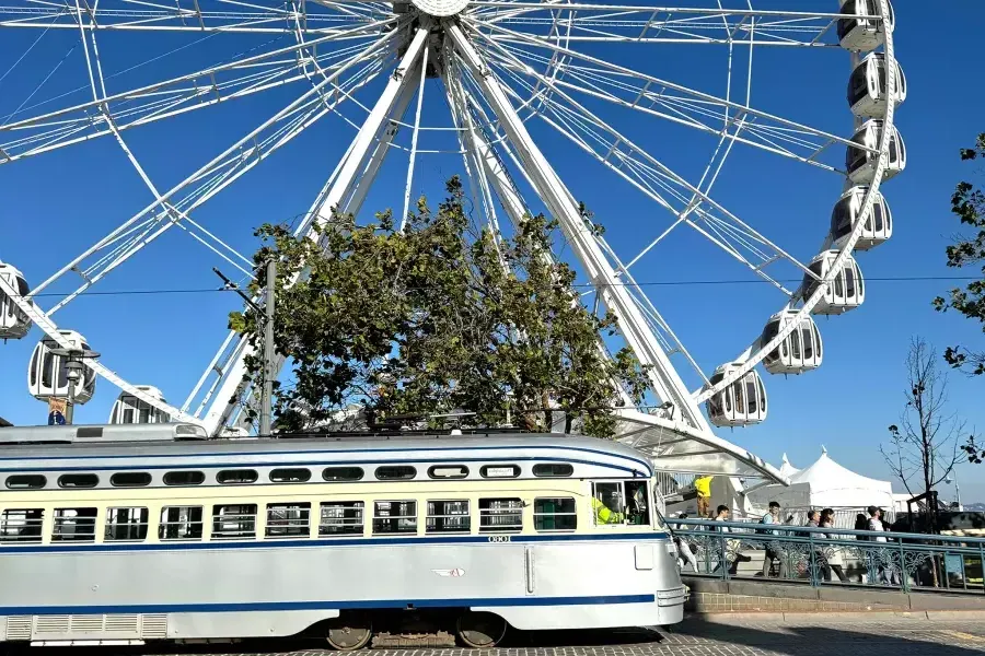 The SkyStar Wheel at Fisherman's Wharf